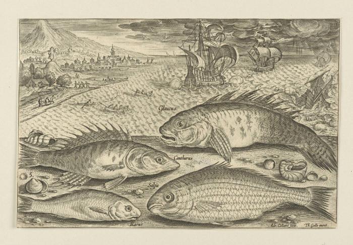 Bildnachweis: Graphische Sammlung am Kunsthistorischen Institut der Universität Tübingen