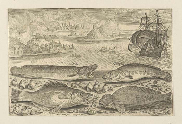Bildnachweis: Graphische Sammlung am Kunsthistorischen Institut der Universität Tübingen