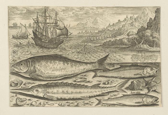 Bildnachweis: Graphische Sammlung am Kunsthistorischen Institut der Universität Tübingen