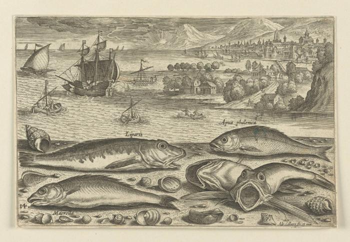 Bildnachweis: Graphische Sammlung am Kunsthistorischen Institut der Universität Tübingen