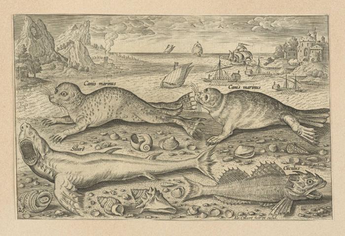 Bildnachweis: Graphische Sammlung am Kunsthistorischen Institut der Universität Tübingen