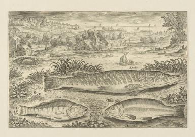 Bildnachweis: Graphische Sammlung am Kunsthistorischen Institut der Universität Tübingen